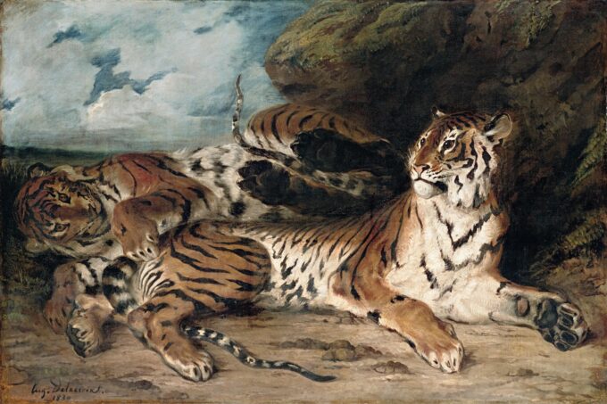 Giovane tigre che gioca con sua madre – Eugène Delacroix Eugène Delacroix 105x70