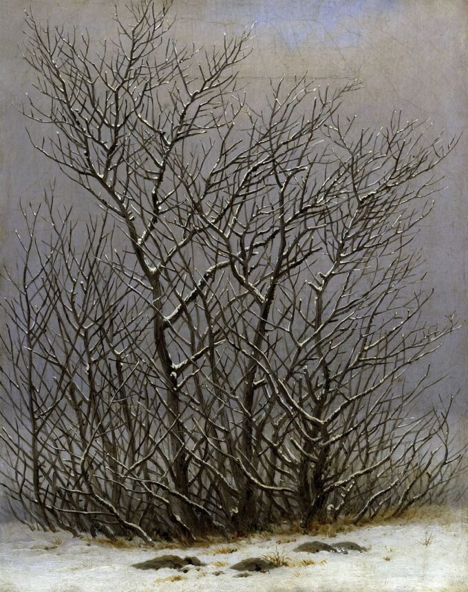 Alberi e arbusti sotto la neve – Caspar David Friedrich Caspar David Friedrich 70x85