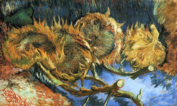 Quattro girasoli appassiti – Van Gogh Serie Girasoli di Vincent van Gogh 120x70