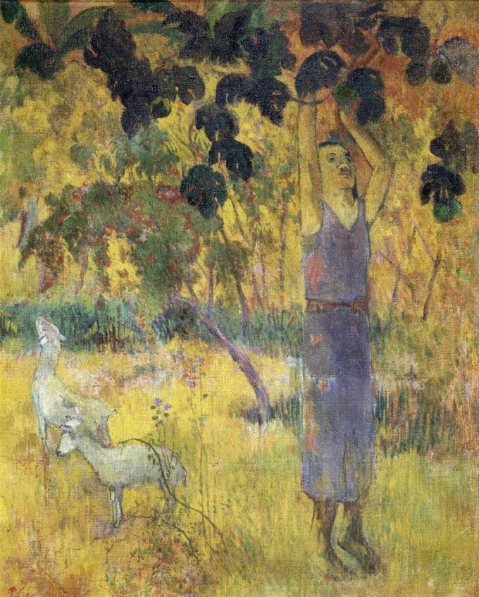 Uomo che raccoglie frutti da un albero – Paul Gauguin Paul Gauguin 70x85