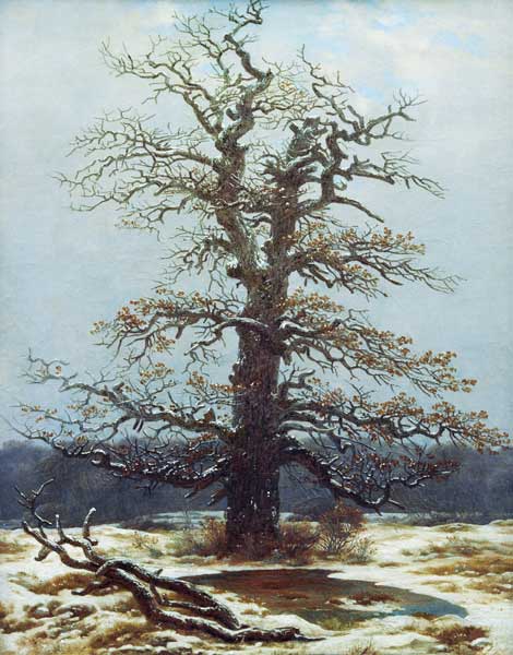 Quercia nella neve – Caspar David Friedrich Caspar David Friedrich 70x85