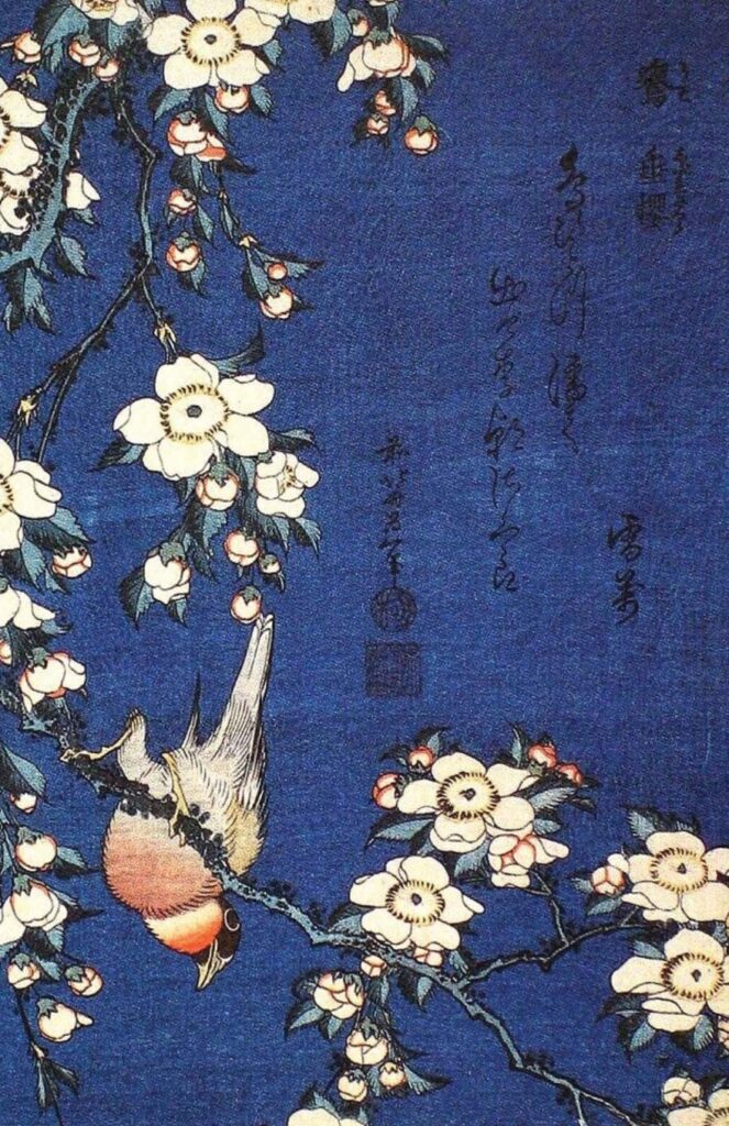 Bouvreuil e fiori di ciliegio piangente – Katsushika Hokusai Katsushika Hokusai 70x105