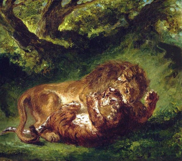 Lotta tra il leone e la tigre – Eugène Delacroix Eugène Delacroix 70x70