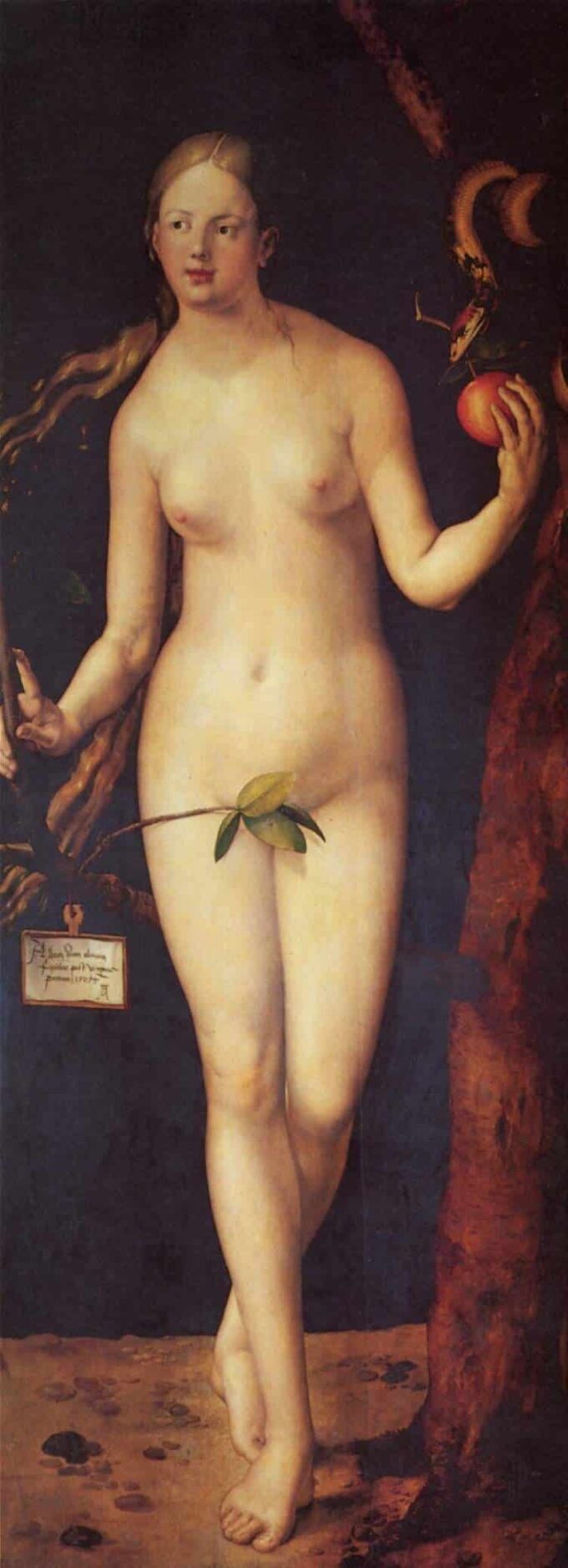 Eve – Albrecht Dürer Albrecht Dürer 70x160