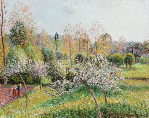 Pommiers in fiore a Eragny – Camille Pissarro Camille Pissarro 85x75