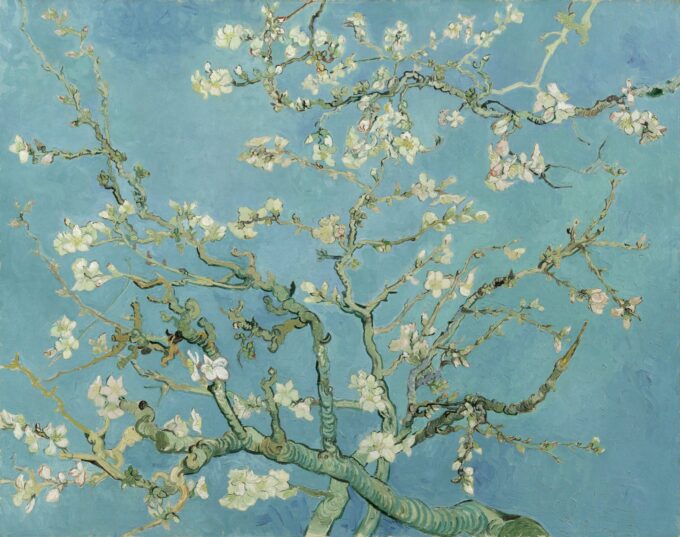 I Mandorli in fiore – Van Gogh Quadri Popolari 85x75