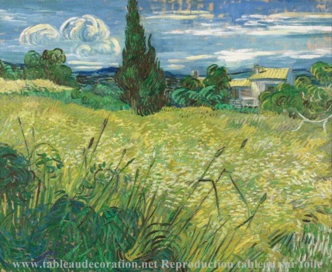 Il Campo di grano verde con cipressi – Van Gogh Quadri Popolari 85x75