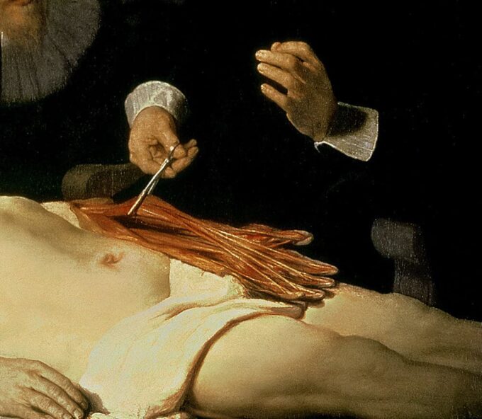 La lezione di anatomia del Dr. Nicolaes Tulp, 1632 (dettaglio di 7543) di Rembrandt van Rijn Rembrandt van Rijn 85x75