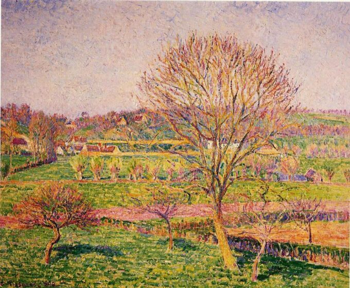 Grosso noce a Eragny – Camille Pissarro Camille Pissarro 85x75