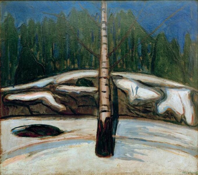 Betulla nella neve – Edvard Munch Edvard Munch 70x70