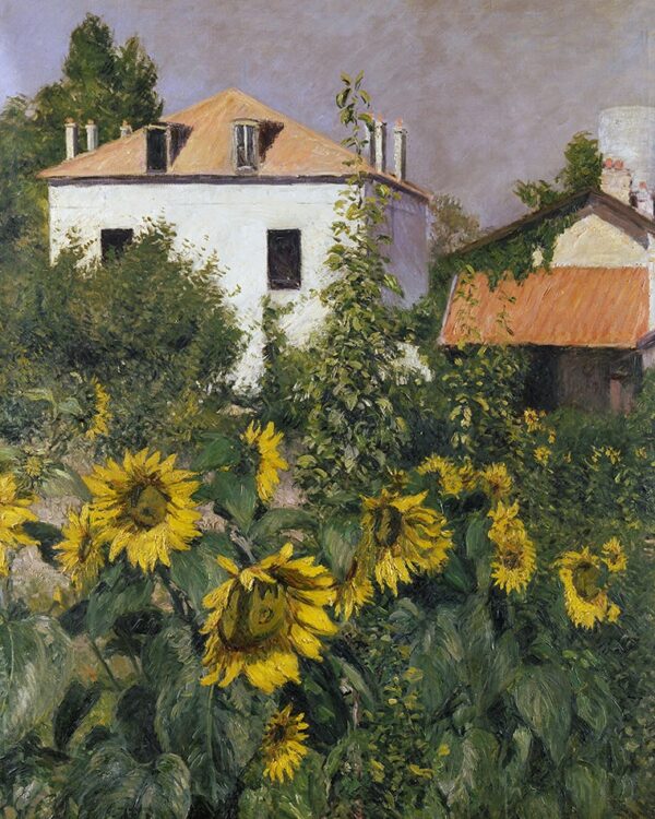 Girasoli nel giardino del Petit Gennevilliers – Caillebotte Gustave Caillebotte 70x85