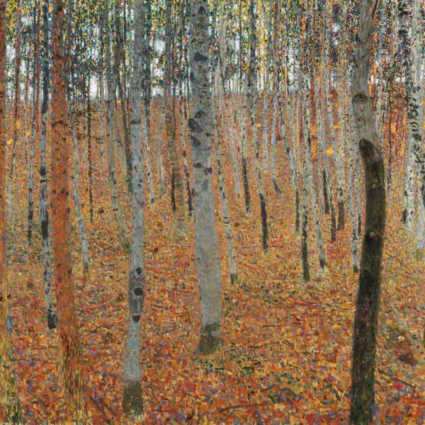 Foresta di betulle – Gustav Klimt Gustav Klimt 70x70