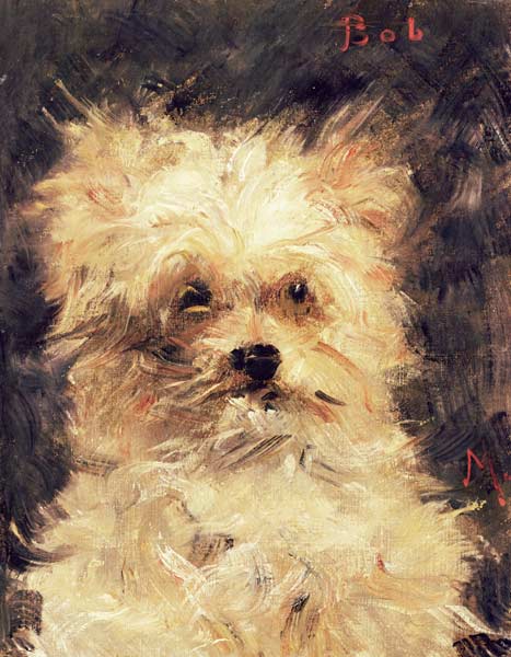 Testa di un cane “Bob” – Edouard Manet Édouard Manet 70x85