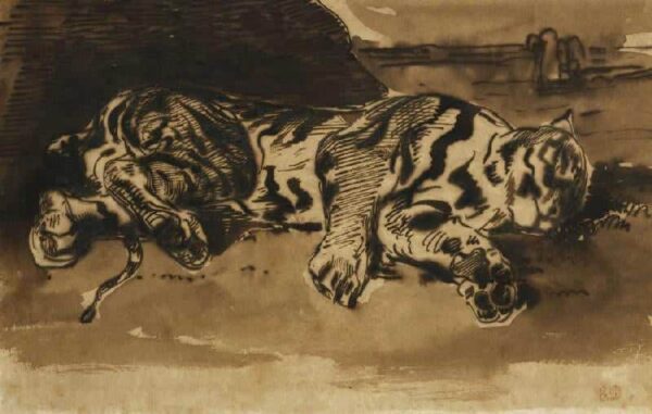 Tigre sdraiato – Eugène Delacroix Eugène Delacroix 105x70