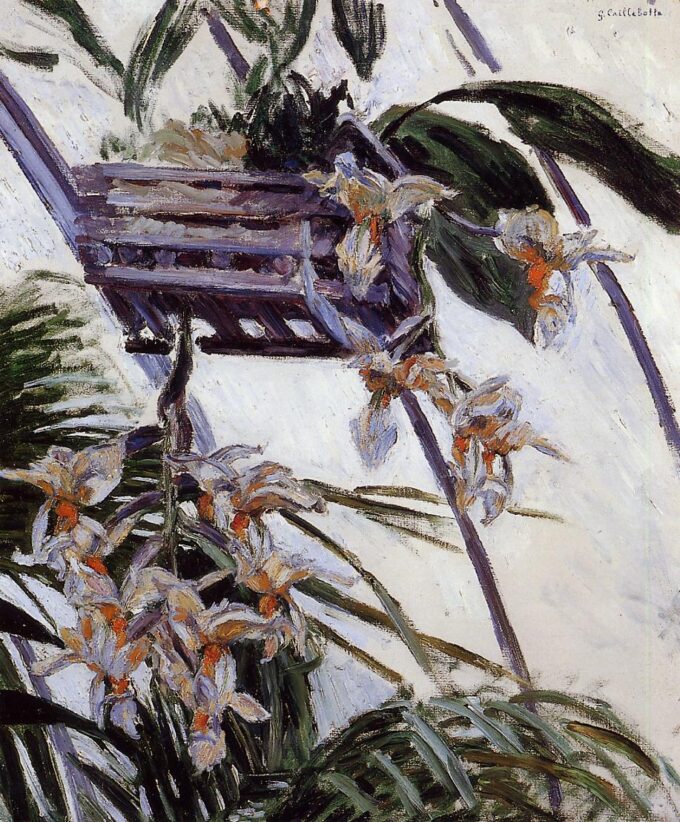 Orchidee – Caillebotte Gustave Caillebotte 70x85