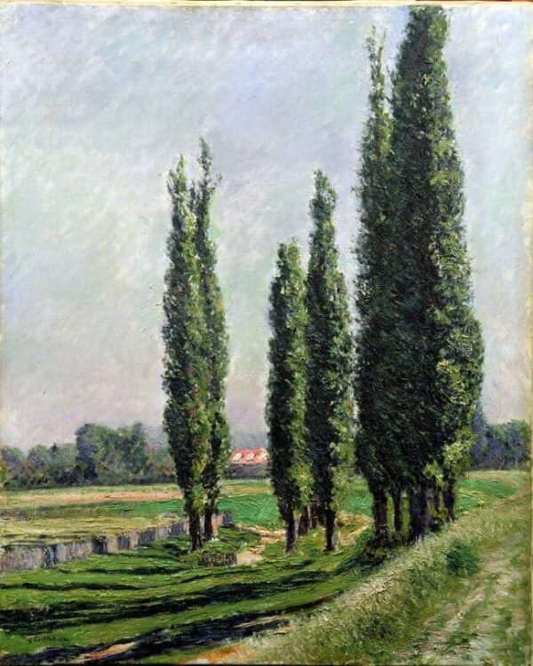 Pioppi lungo il fiume ad Argenteuil – Caillebotte Gustave Caillebotte 70x85