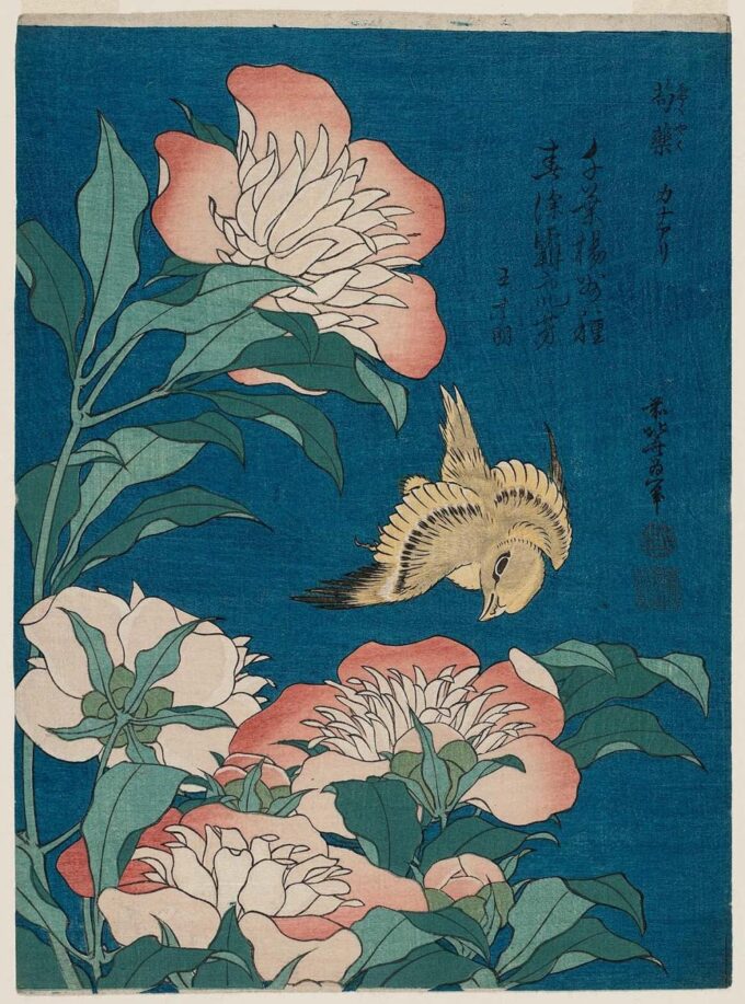 Hokusai: Peonie e Canarini (Shakuyaku, Kanaari), di una serie senza titolo conosciuta come Piccole Fiori – Katsushika Hokusai Katsushika Hokusai 70x85