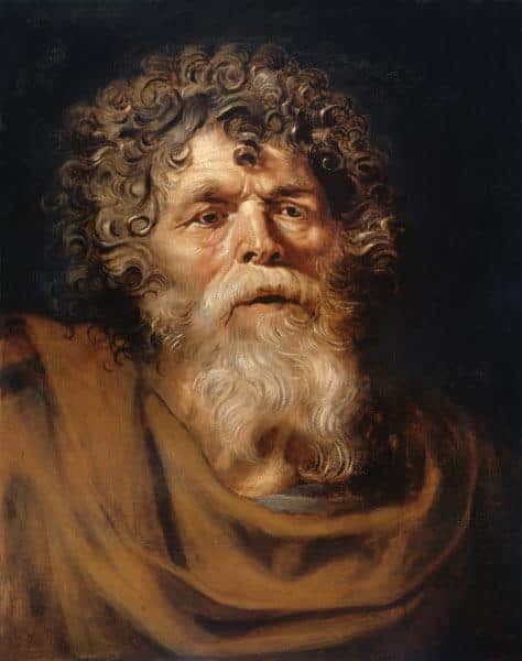 Testa di un vecchio – Peter Paul Rubens Peter Paul Rubens 70x85