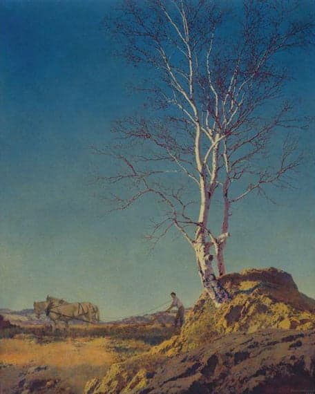 Bouleau bianco – Maxfield Parrish Maxfield Parrish 70x85